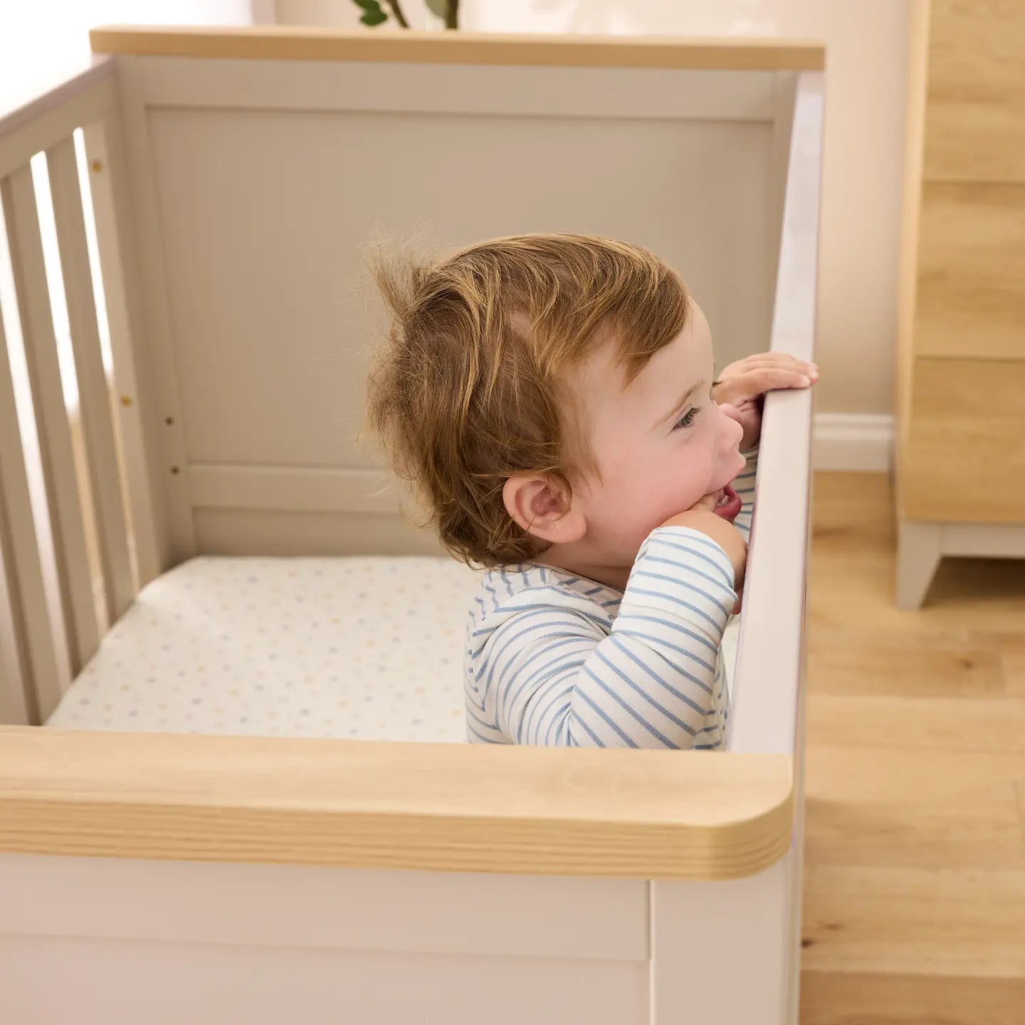 Tutti Bambini Misha Cot - Mushroom & Golden Oak