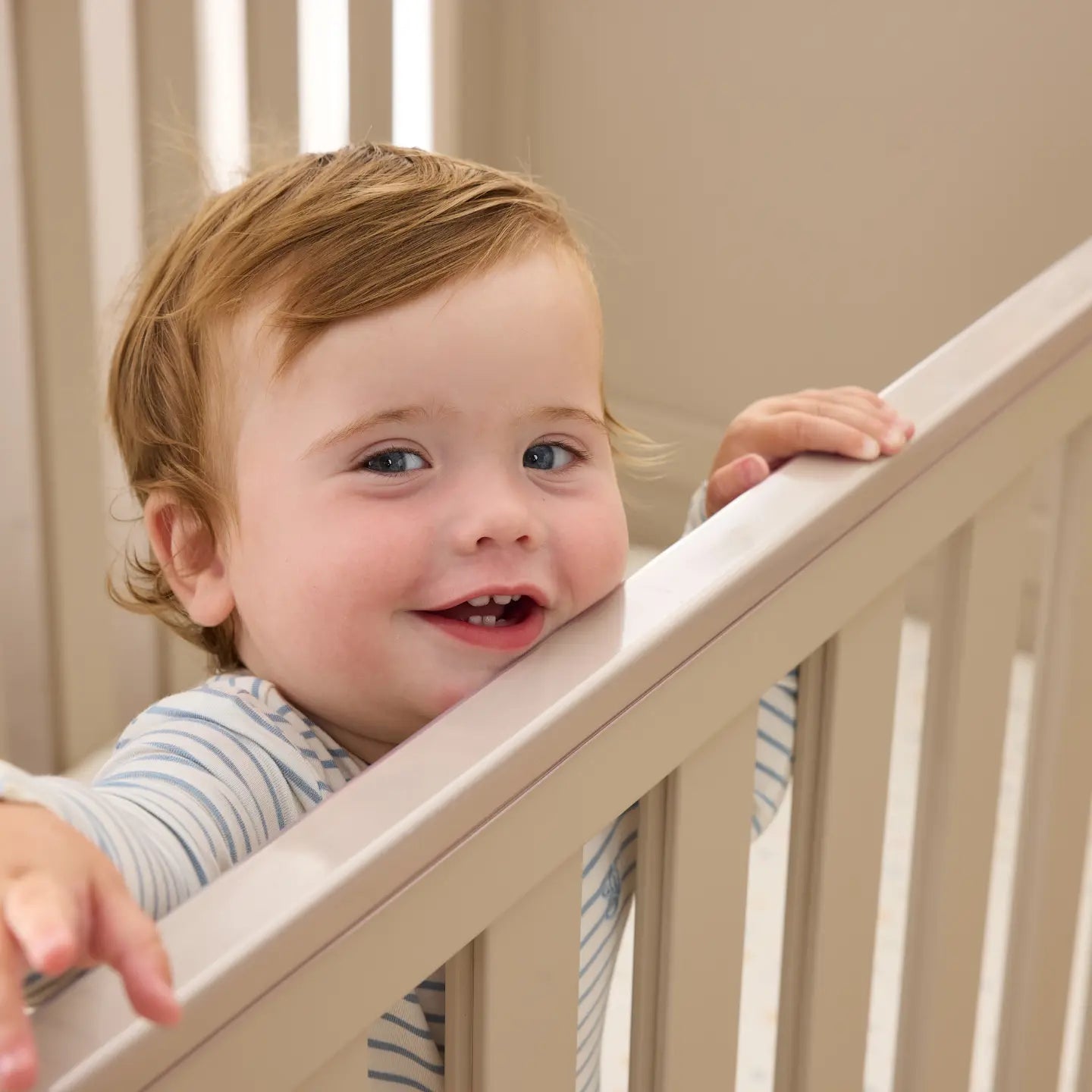 Tutti Bambini Misha Cot - Mushroom & Golden Oak