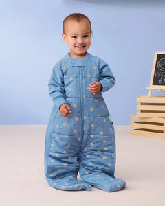 ergoPouch Sleep Suit Bag 2.5 TOG - Petit Pretzel