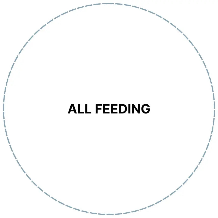 Feeding | Baby Little Planet