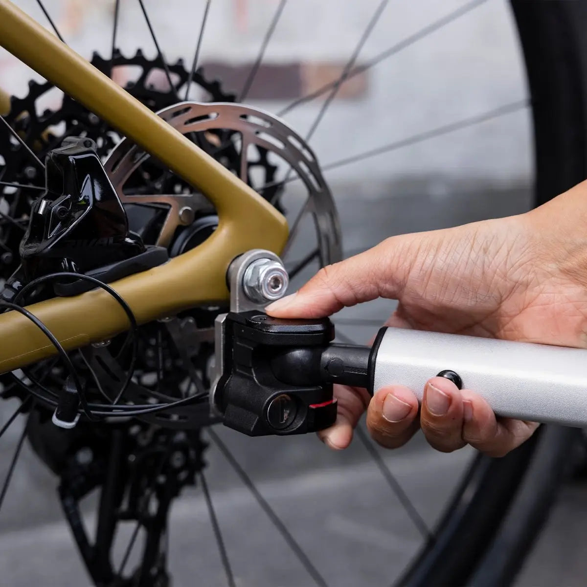 Thule Chariot Sport 2 Single | Baby Little Planet