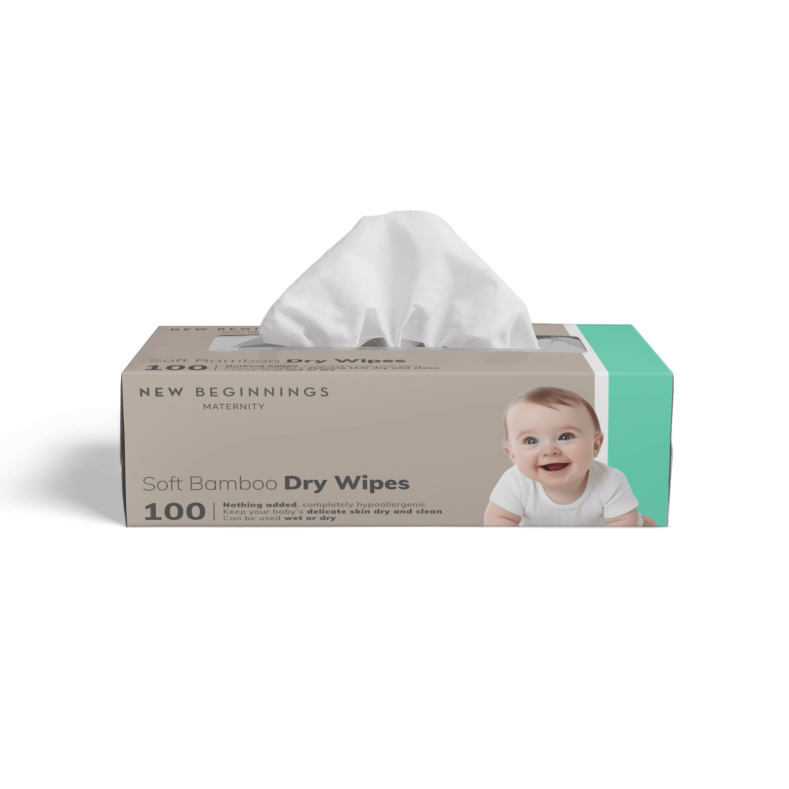 Dry Wipes (100pk)