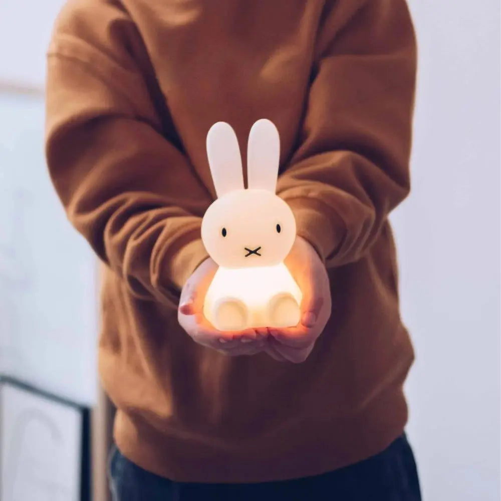 Miffy Bundle of Light  