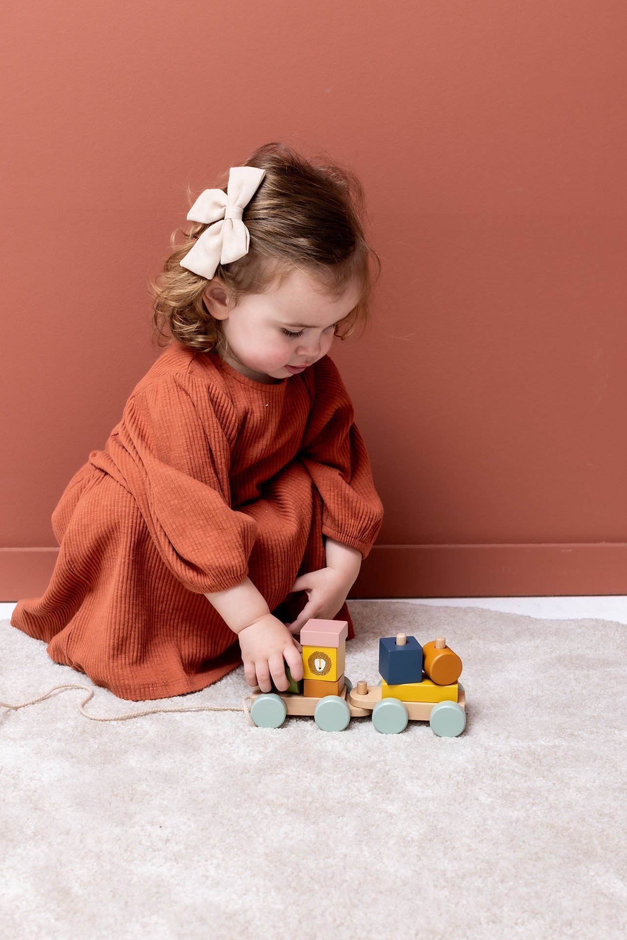 Trixie Mini Animal Train disassembled showing individual coloured stacking blocks