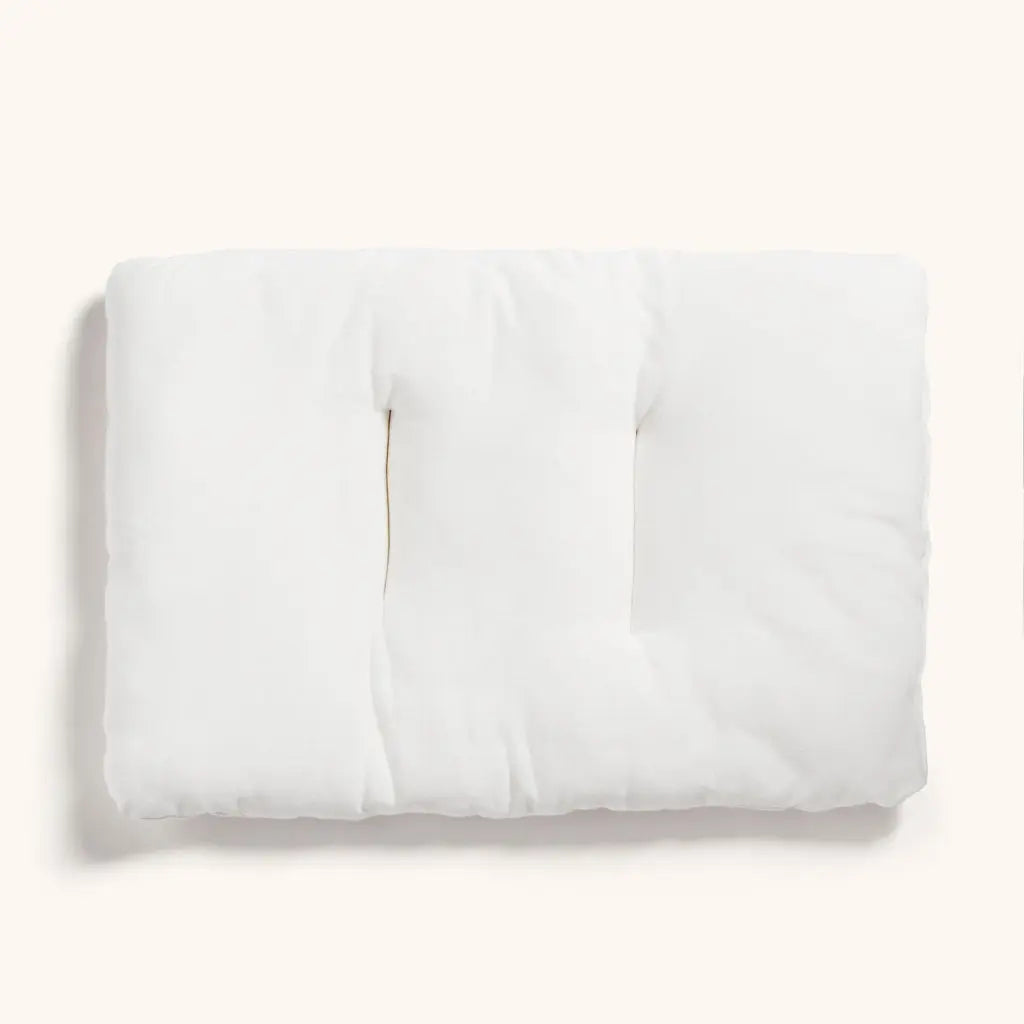 ergoPouch Organic Toddler Pillow & Case  