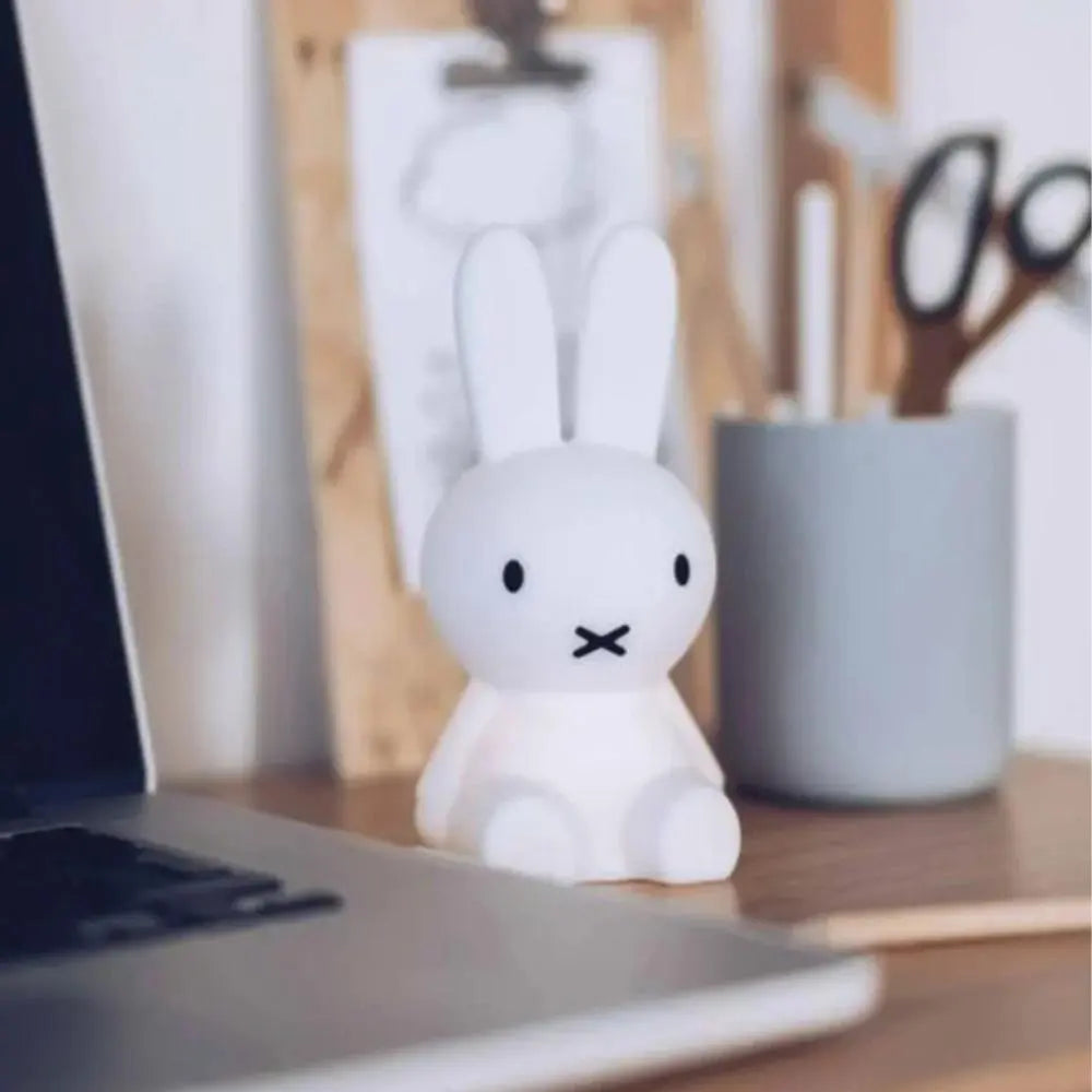 Miffy Bundle of Light  