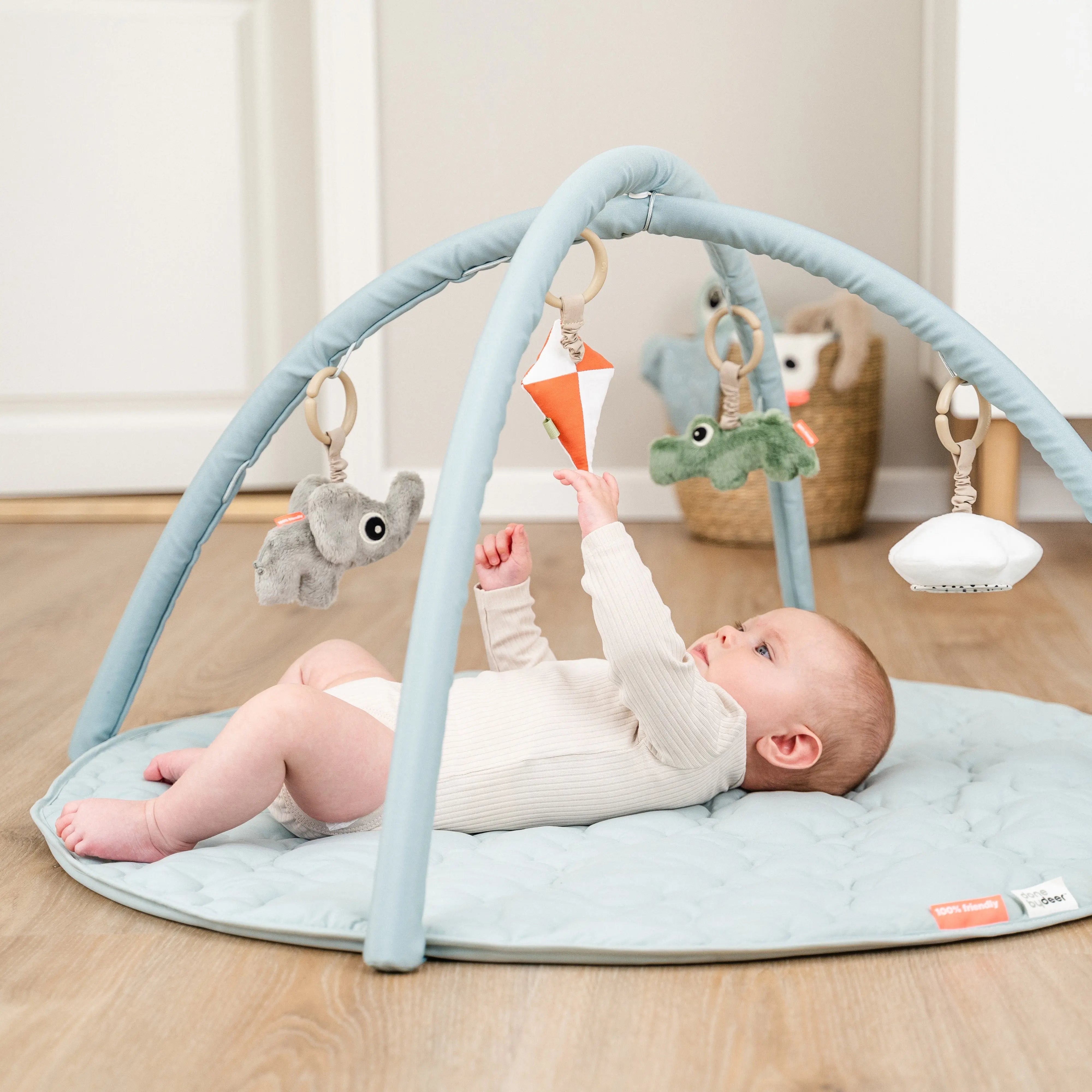 Done by Deer Activity Play Mat | Baby Little Planet