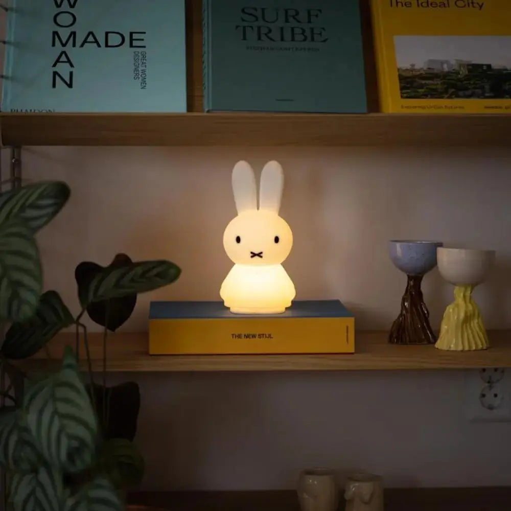 Mr Maria Miffy Shines Light  