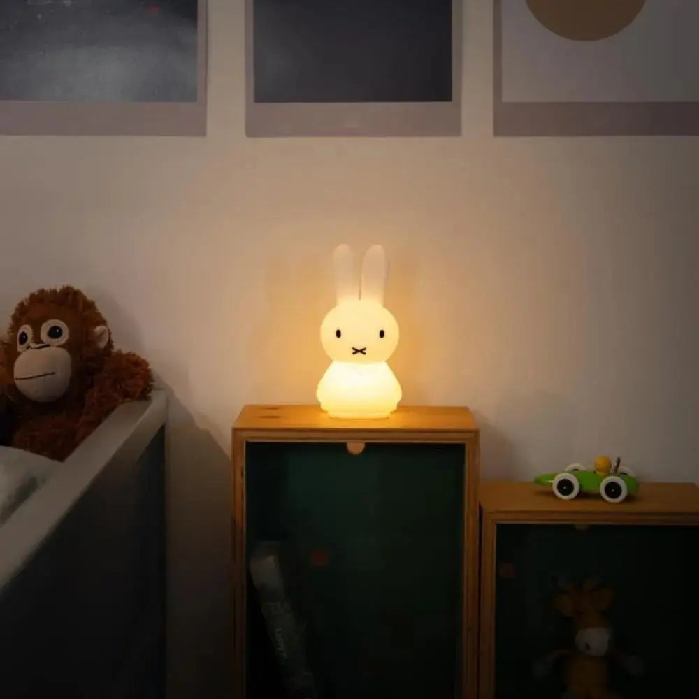 Mr Maria Miffy Shines Light  