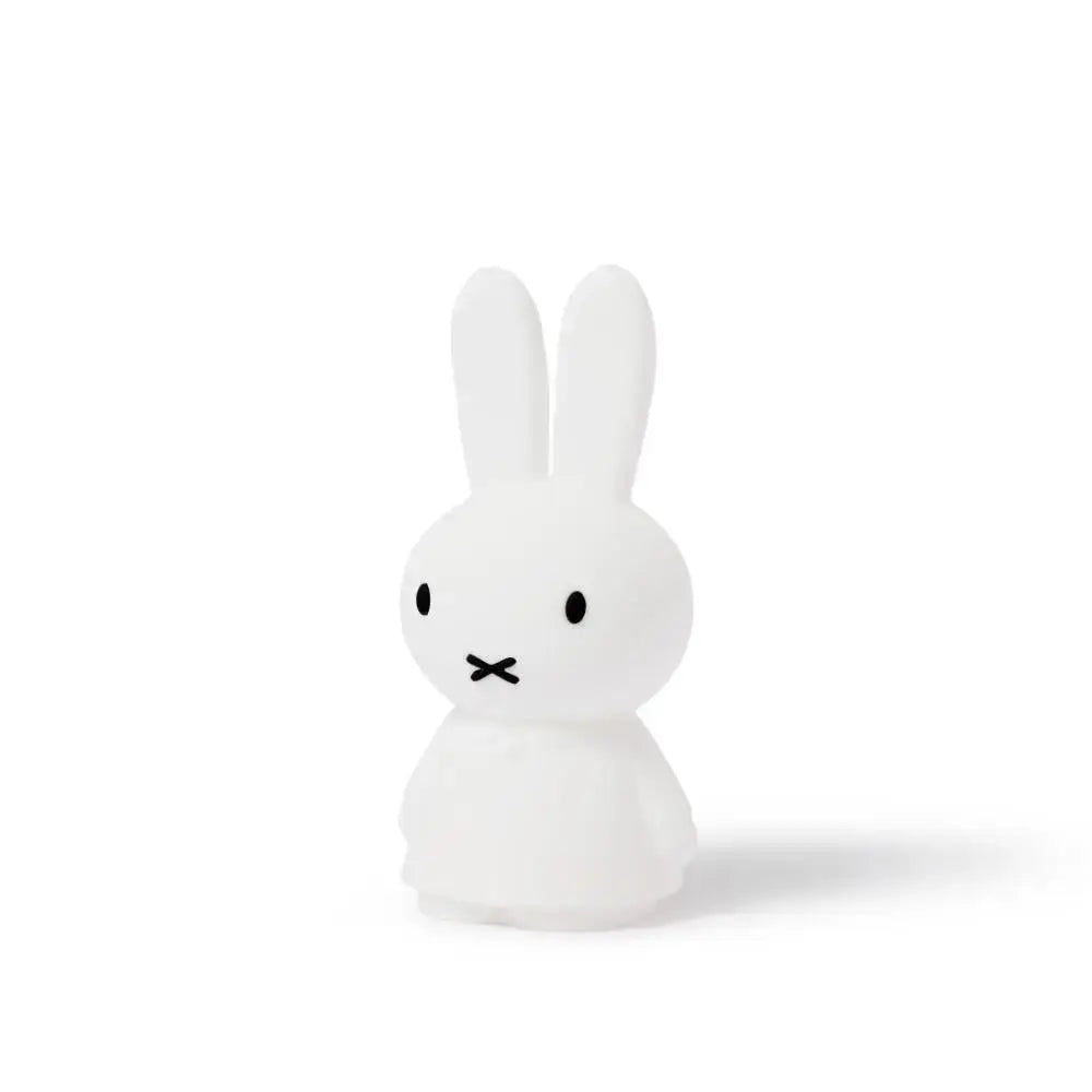 Mr Maria Miffy Shines Light  