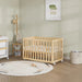 Boori Turin Compact Cot + Mattress  