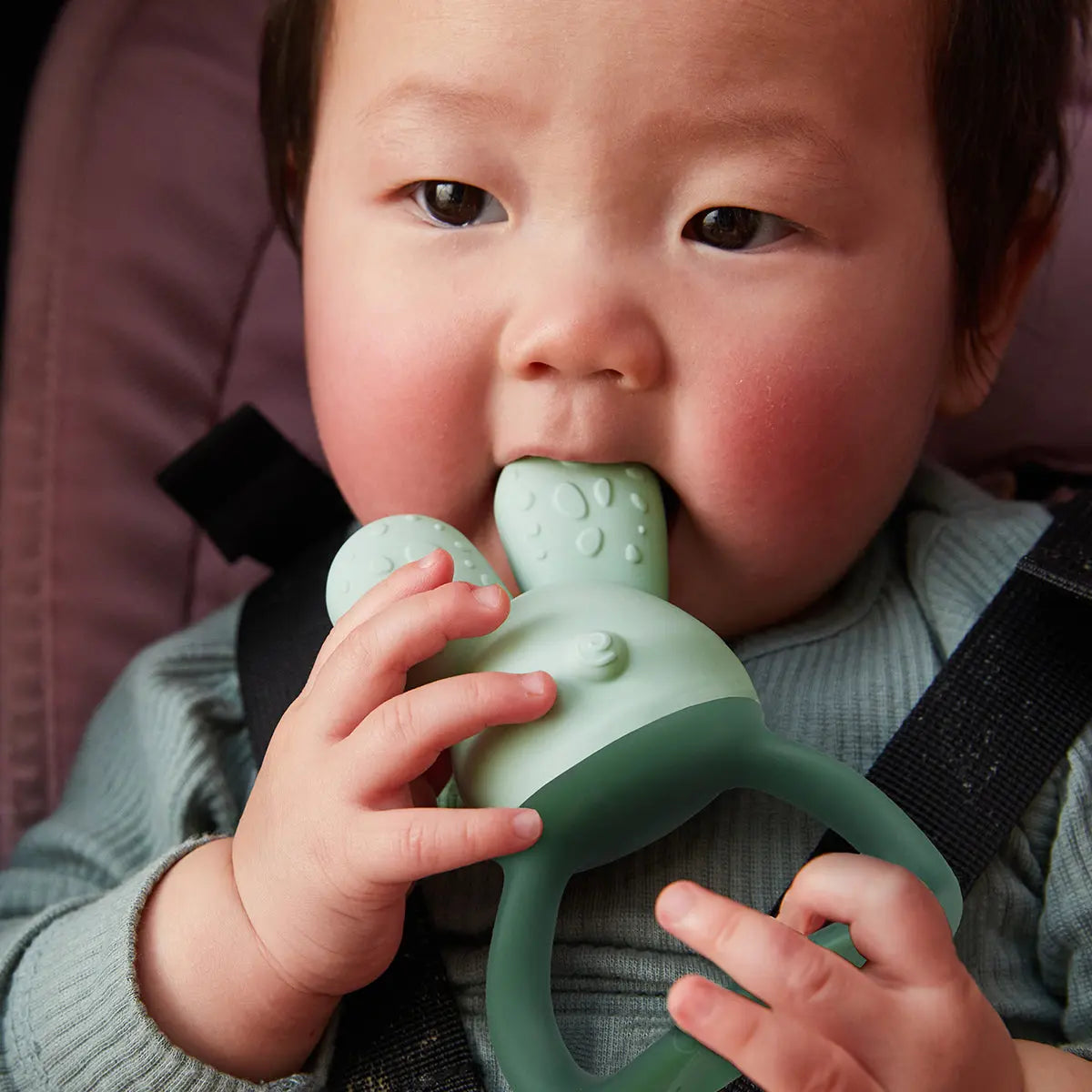 BBox Chill + Fill Teether - Sage