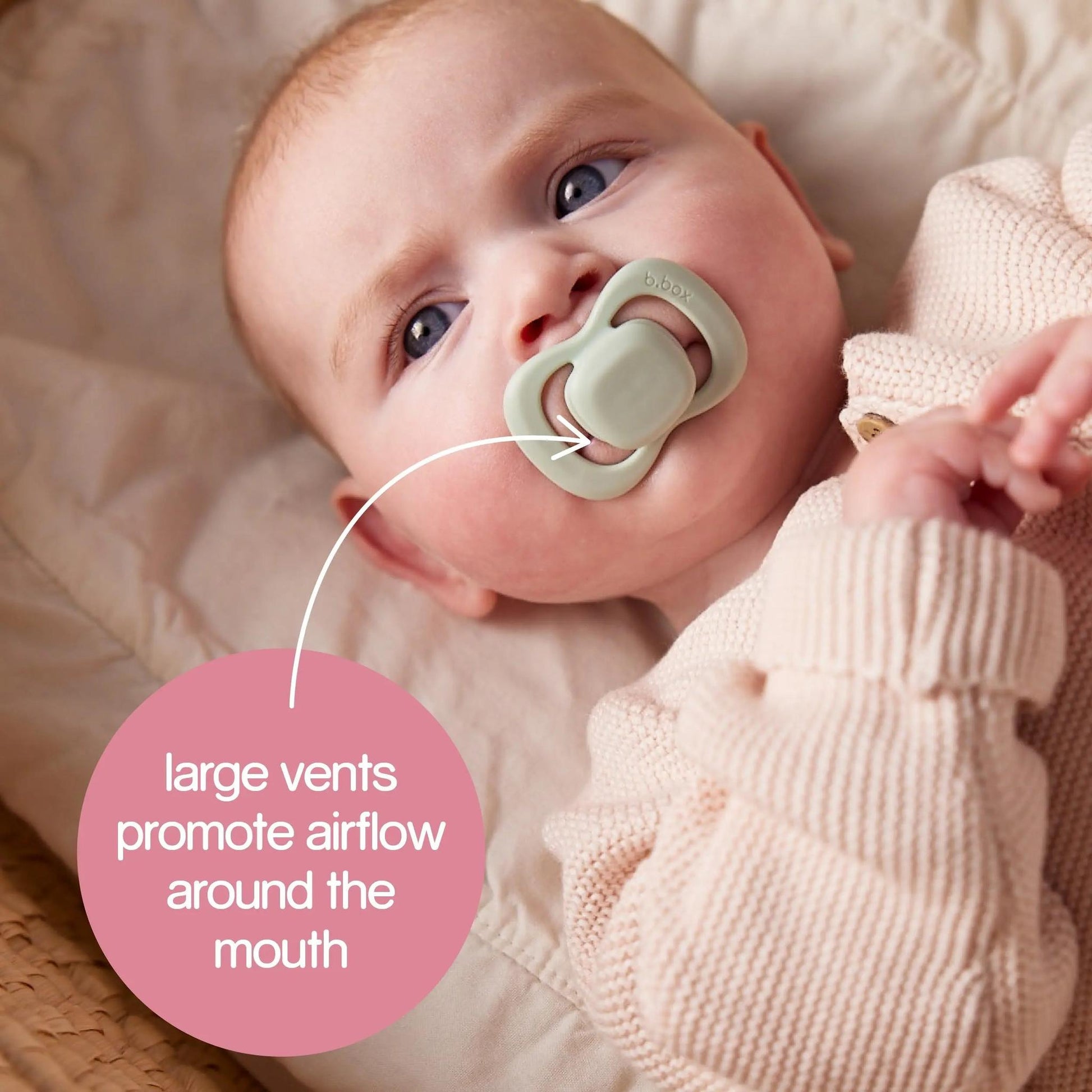 BBox Pacifier Twin Pack - Vanilla + Blush