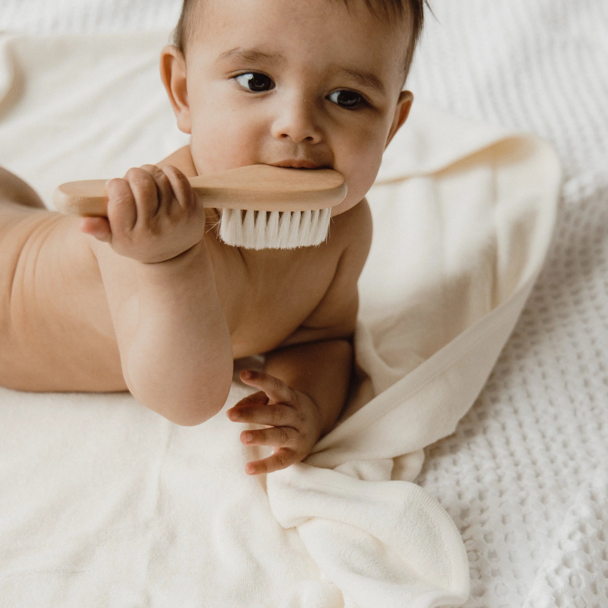 BEETL Baby Brush on white background