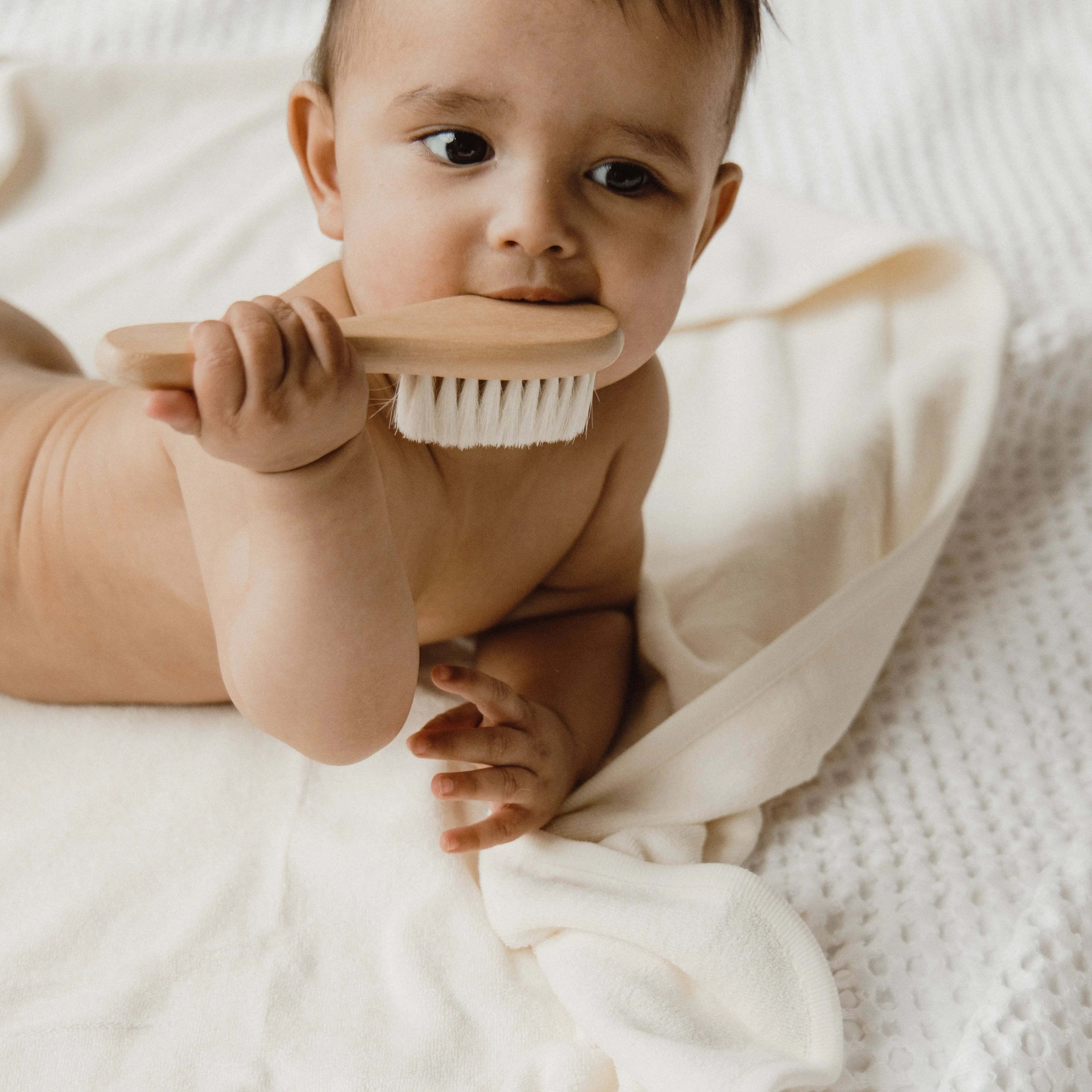 BEETL Baby Brush on white background