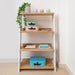 Oslo Bookshelf