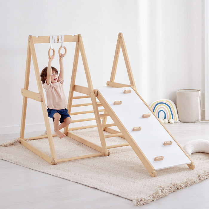 Tidy Climbing Gym