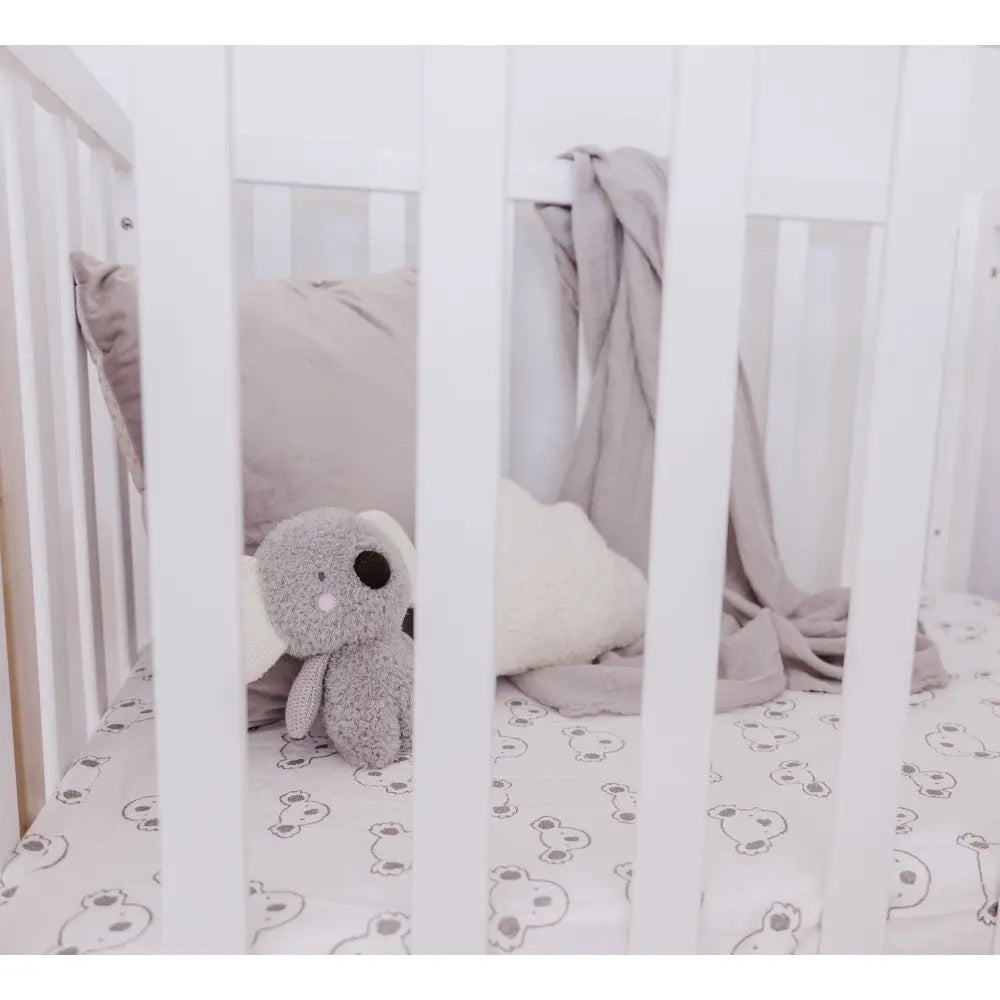 Bubble Coco the Koala