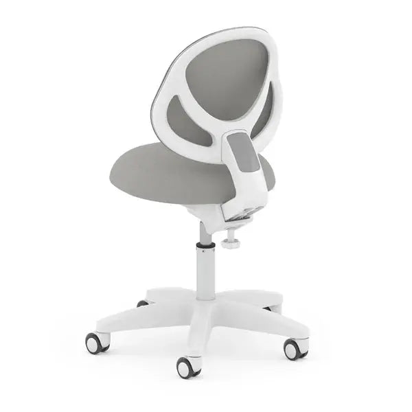 Boori Ergonomic Study Swivel Chair