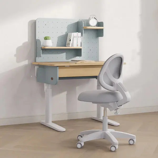 Boori Ergonomic Study Swivel Chair