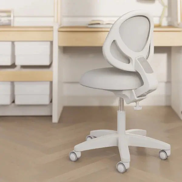Boori Ergonomic Study Swivel Chair