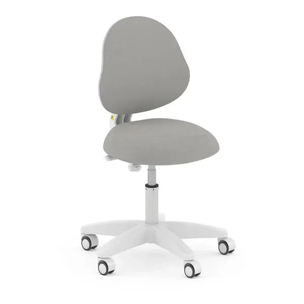 Boori Ergonomic Study Swivel Chair