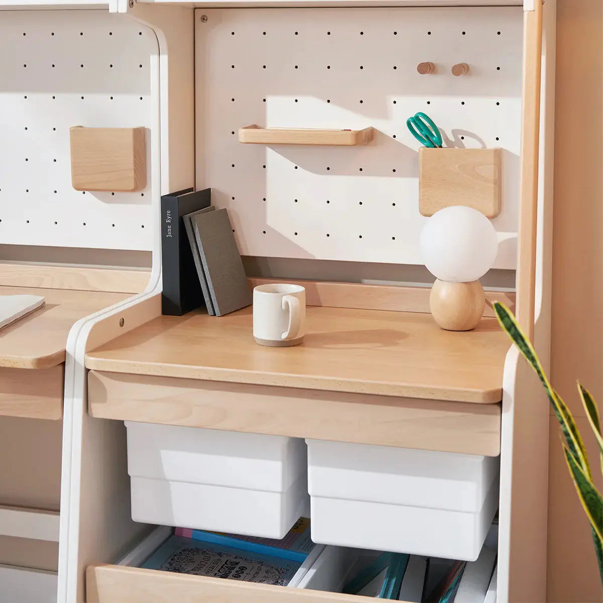 Boori Euler Euler Storage Bookcase