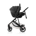 Click & Go Baby Capsule Adaptors Mini