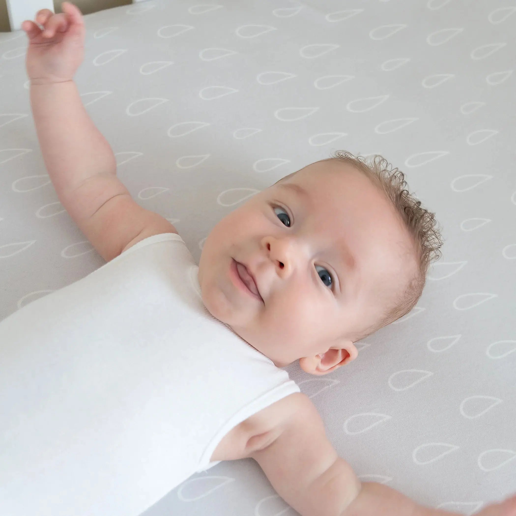 Bubba Blue Nordic 2pk Jersey Cot Fitted Sheets