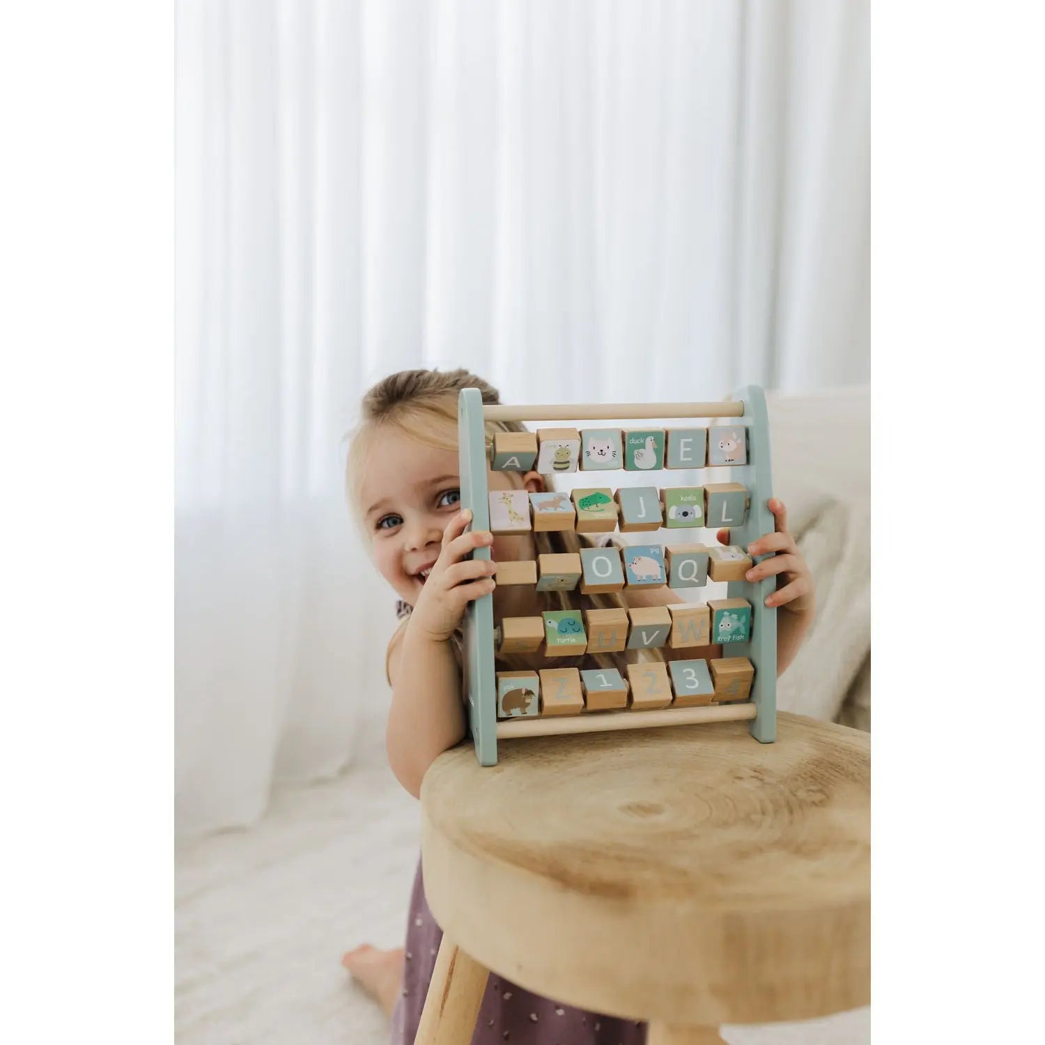 Bubble Wooden Abacus