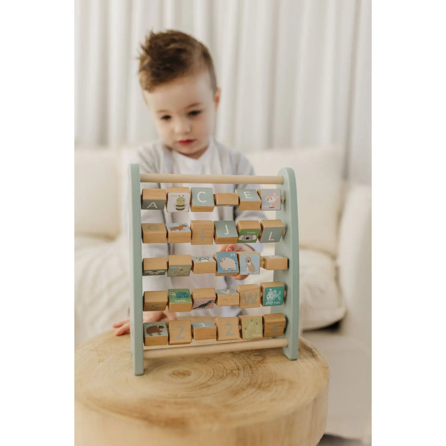 Bubble Wooden Abacus