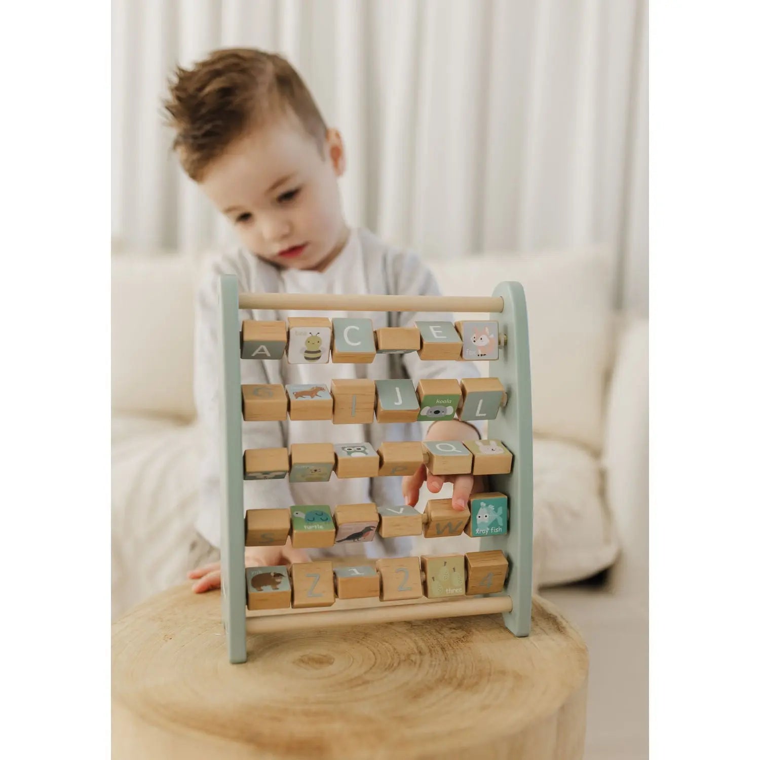 Bubble Wooden Abacus