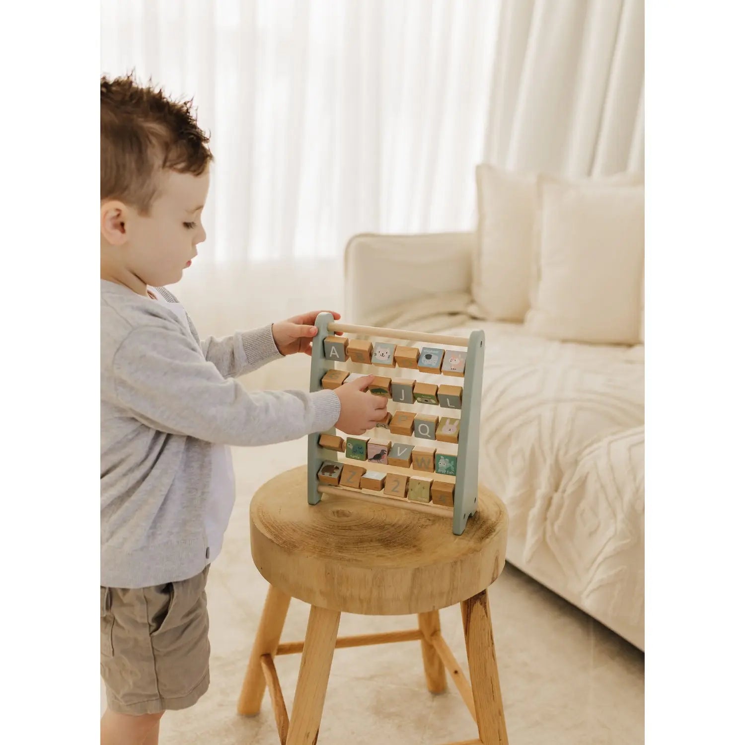 Bubble Wooden Abacus