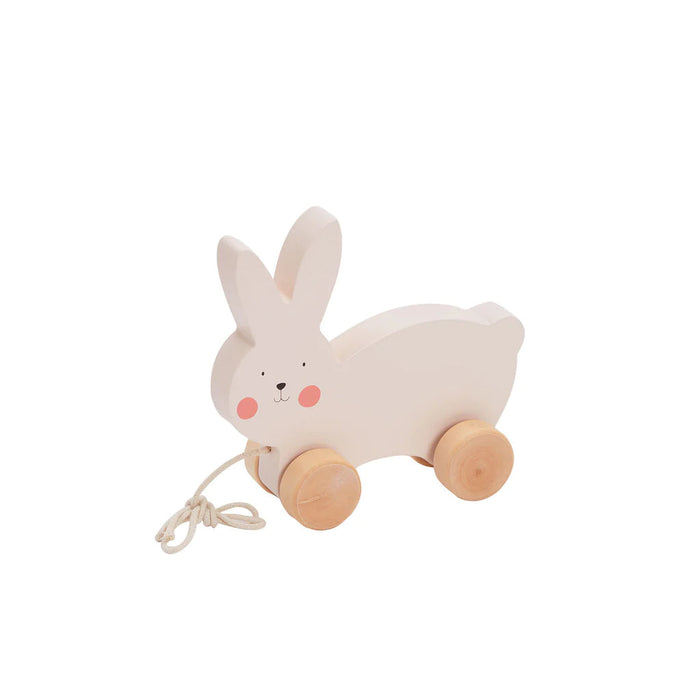 Bubble Wooden Rabbit