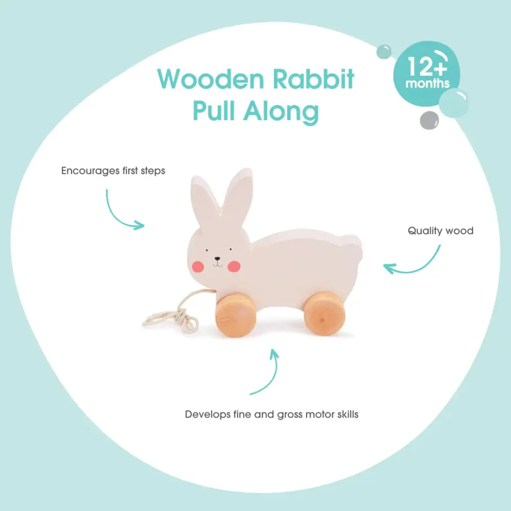 Bubble Wooden Rabbit
