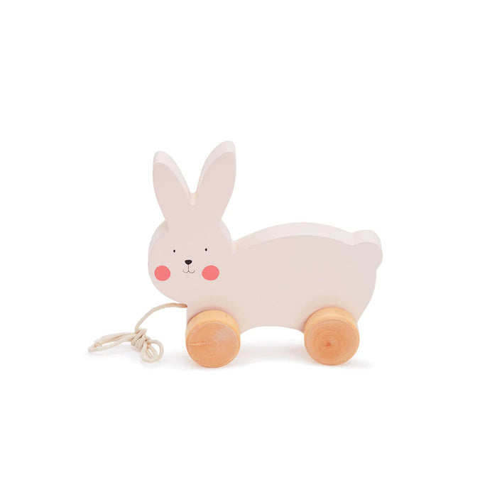Bubble Wooden Rabbit