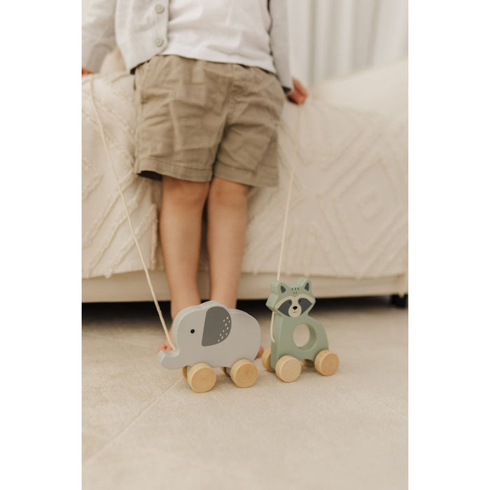 Bubble Wooden Raccoon Pull Along Toy