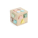 Bubble Wooden Shape Sorting Cube