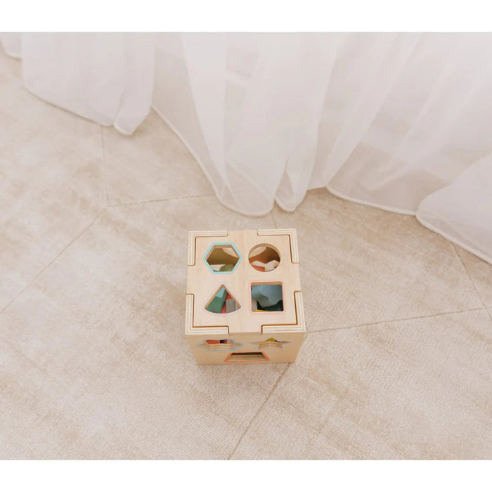 Bubble Wooden Shape Sorting Cube