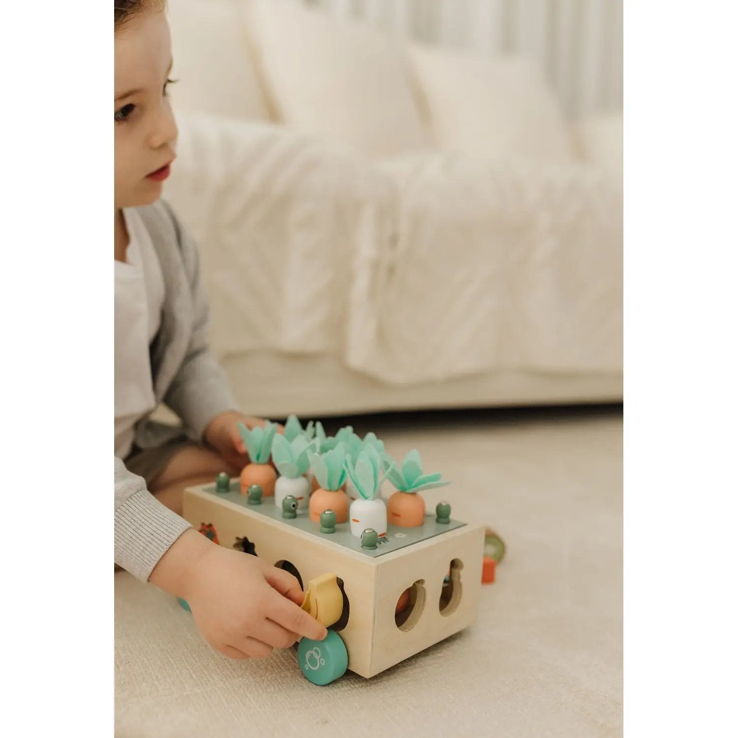 Bubble Wooden Vegetable Garden