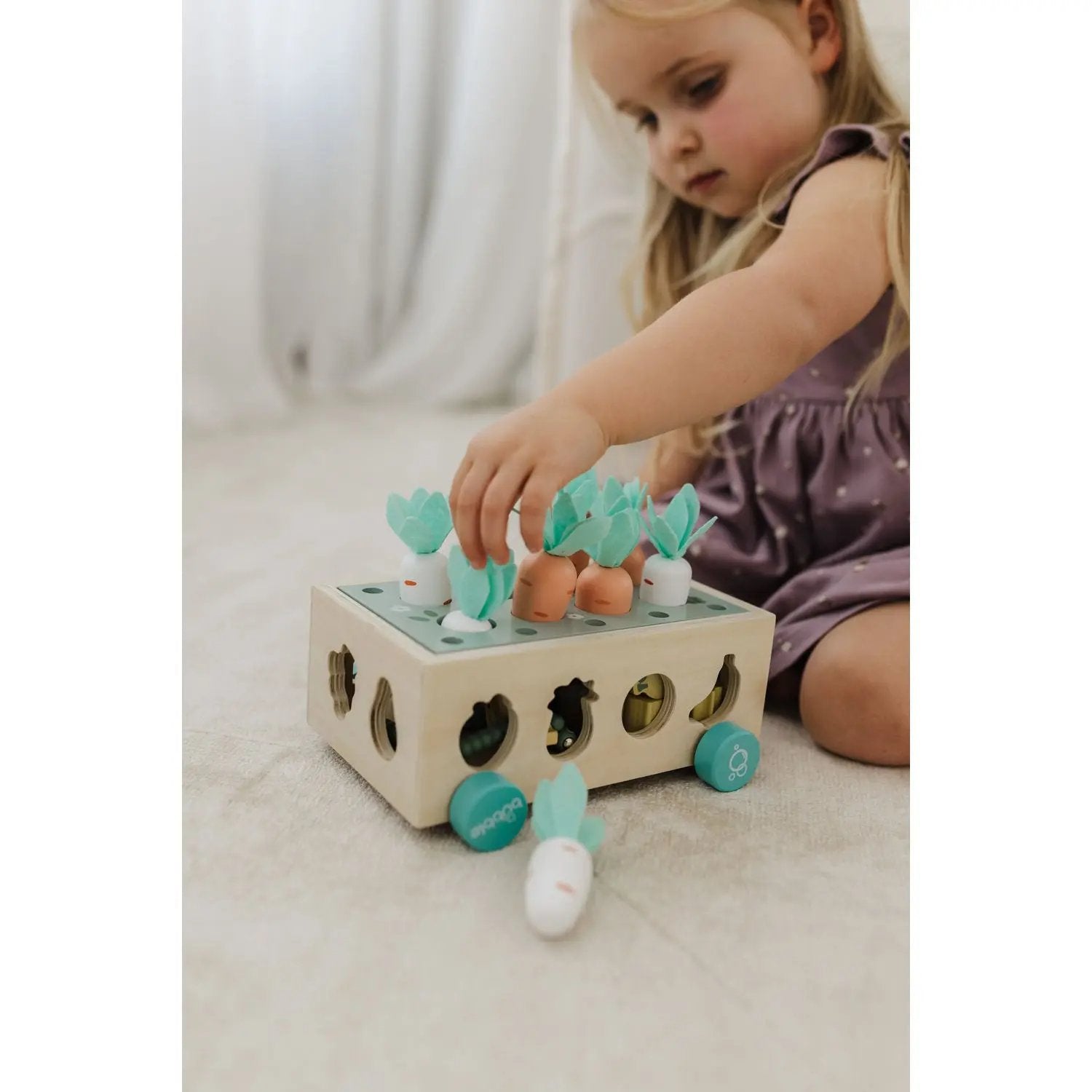 Bubble Wooden Vegetable Garden