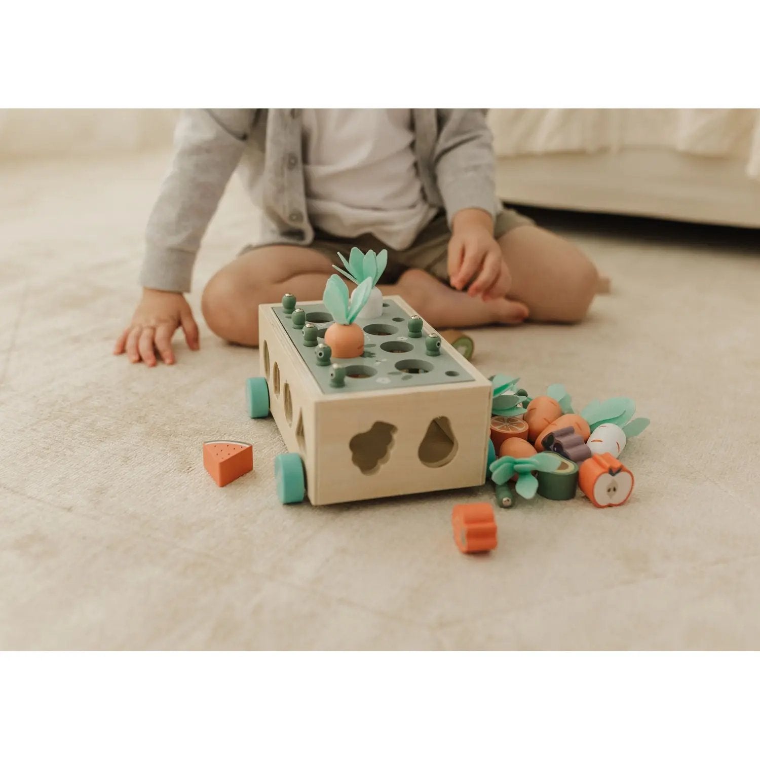 Bubble Wooden Vegetable Garden