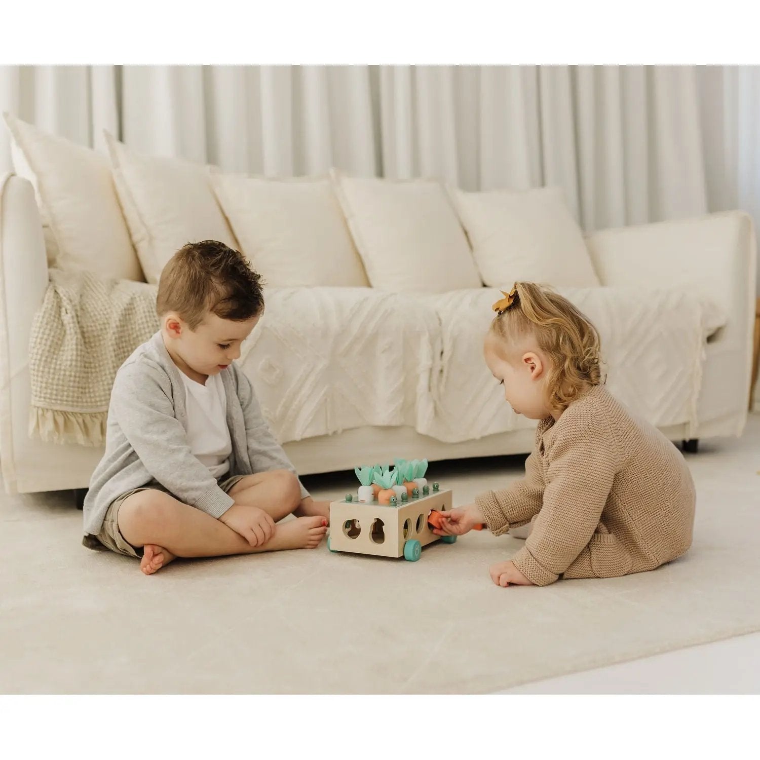 Bubble Wooden Vegetable Garden