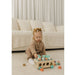 Bubble Wooden Vegetable Garden