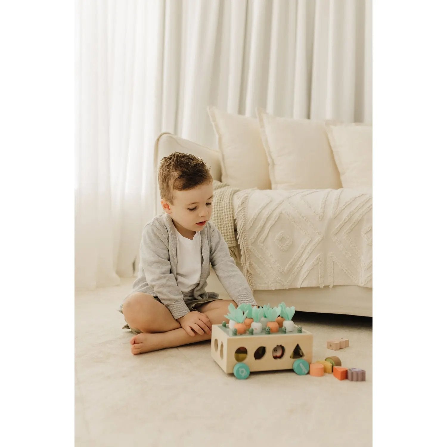 Bubble Wooden Vegetable Garden