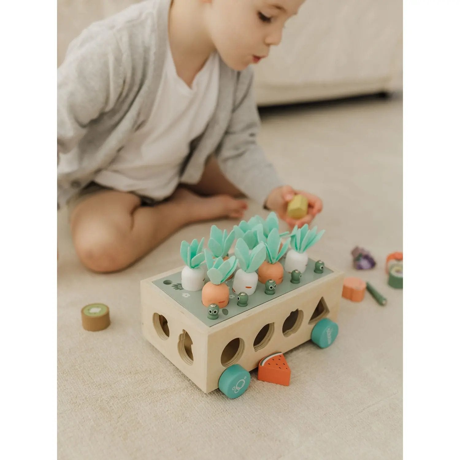 Bubble Wooden Vegetable Garden