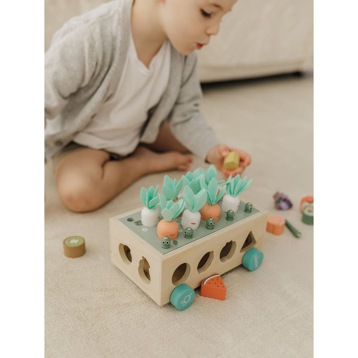 Bubble Wooden Vegetable Garden