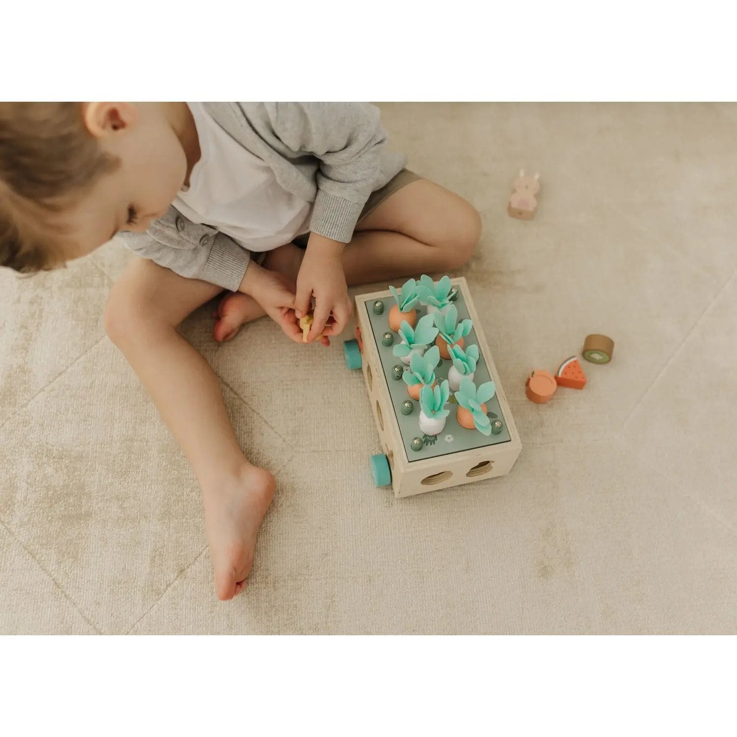 Bubble Wooden Vegetable Garden