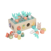 Bubble Wooden Vegetable Garden