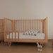 Cocoon Vibe Cot + Mattress Set